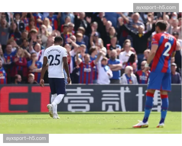 荷兰后卫舒尔斯透露曾接近加盟热刺和水晶宫,都灵要价过高致转会失败 荷兰后卫舒尔斯透露曾接近加盟热刺和水晶宫,都灵要价过高致转会失败